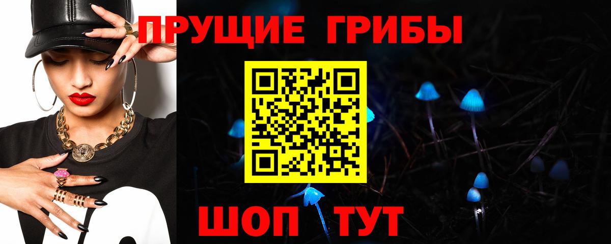 Керчь  Псилоцибиновые грибы Cubensis  Вход с VPN  Псилоцибиновые грибы Psilocybine cubensis 